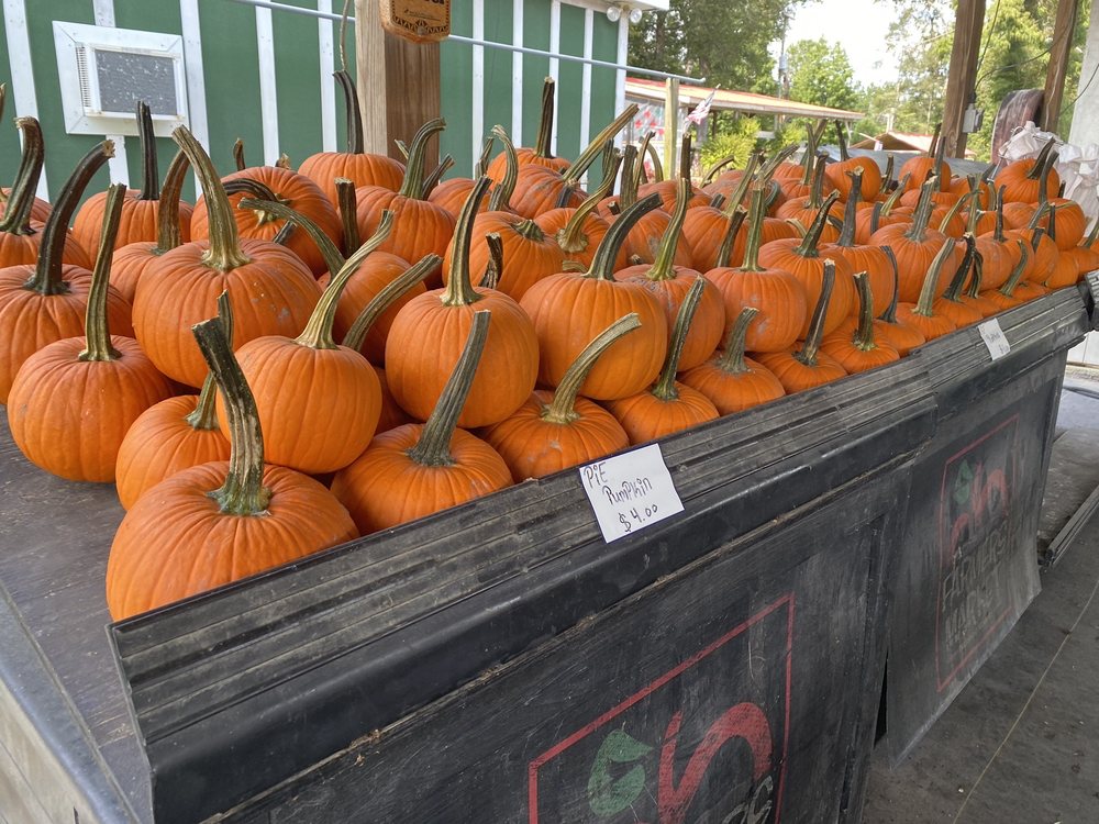 WHITE’S FARM Updated July 2024 27 Photos 5200 US Hwy 17 N