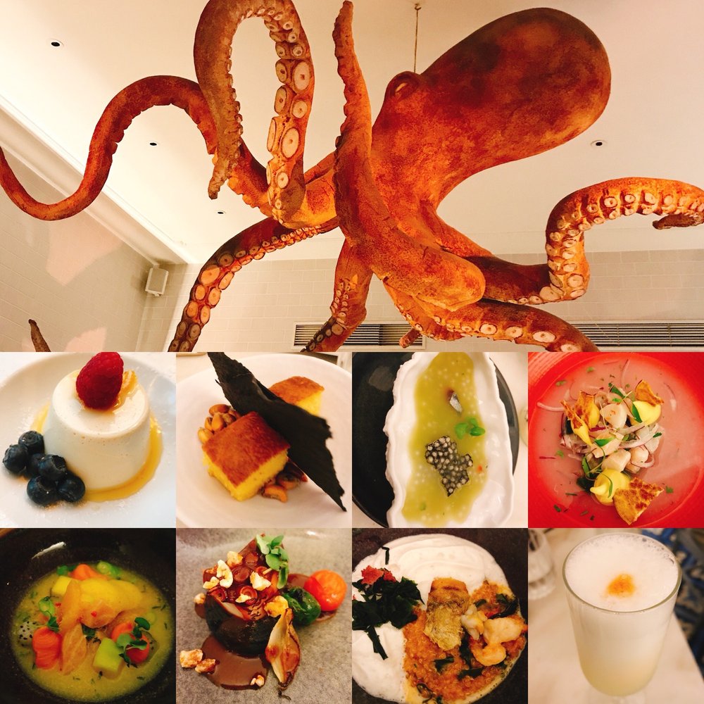 A Cevicheria - Tasting menu - Gastropubs Near Me - Lisbon, 11 A Cevicheria - Tasting menu - Gastropubs Near Me - Lisbon, 11