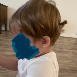 Cookie Cutters Haircuts for Kids