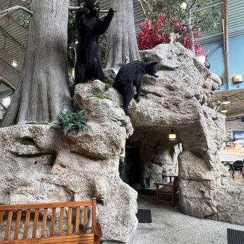 Bass Pro Shops - Outdoor Gear Near Me - Dania, Florida