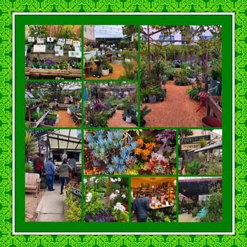 Flowerland Nursery - Montage of images from Flowerland Nursery - Nurseries & Gardening Near Me - Albany, California Flowerland Nursery - Montage of images from Flowerland Nursery - Nurseries & Gardening Near Me - Albany, California