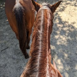 Rancho Baaxal