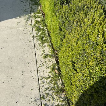 Augusta Lawn Care Services - Tracy - Lawn Services Near Me