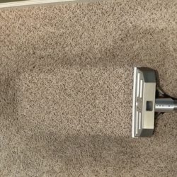 Naturally Safe Carpet Care - During Cleaning