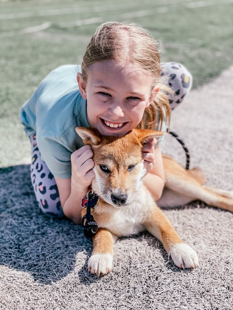 URBAN DOGHOUSE Updated September 2024 4315 SW 119th St, Oklahoma