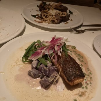 Scampo - Salmon - Italian Near Me - Boston, Massachusetts Scampo - Salmon - Italian Near Me - Boston, Massachusetts