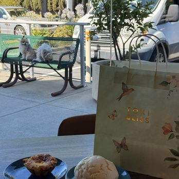 Toki Bliss Pâtisserie - Egg tart and barbecue bun. No exterior seating so I had to leave my dogs outside. - Patisserie/Cake Shop Near Me - Milpitas, California Toki Bliss Pâtisserie - Egg tart and barbecue bun. No exterior seating so I had to leave my dogs outside. - Patisserie/Cake Shop Near Me - Milpitas, California