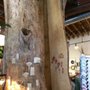 Photo of Darling Botanical Co