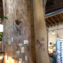 Darling Botanical Co
