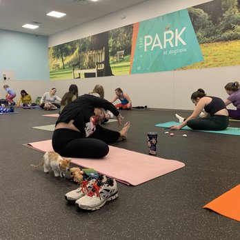 Dogtopia - Pet Boarding Near Me - San Antonio, Texas