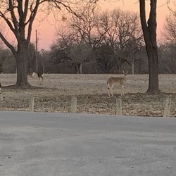 Lucy Park - Wild life in Lucy Park in Wichita Falls, Texas