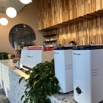 Stemma Craft Coffee - Inside - Coffee Roasteries Near Me - Orlando, Florida