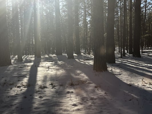 FivePine Lodge and Spa by null