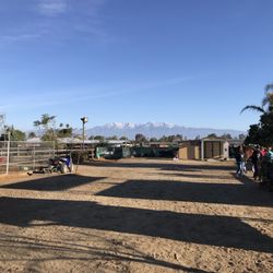 PepperGlen Farm
