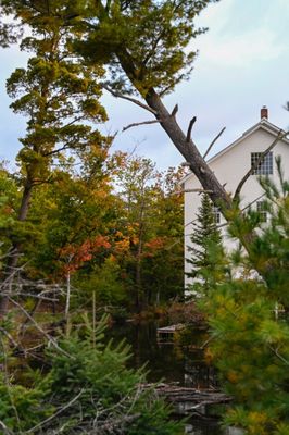 Supper at The Mill by null