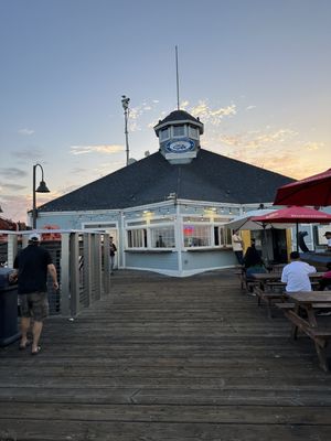 The Tin Fish by null