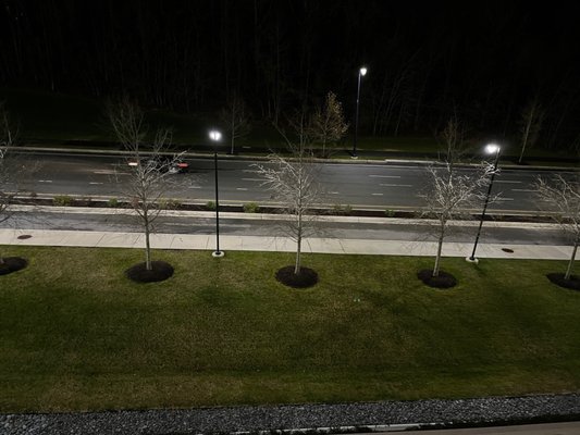 National Market by null