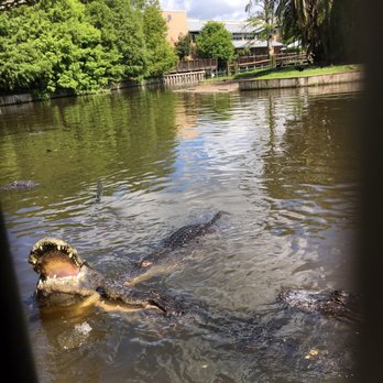 Gatorland - Zoos Near Me - Orlando, Florida Gatorland - Zoos Near Me - Orlando, Florida