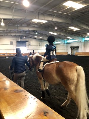 Bergen Equestrian Center 38 Photos 24 Reviews Horseback Riding 40 Fort Lee Rd Leonia Nj United States Phone Number