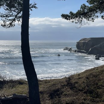 Año Nuevo State Park - Beaches Near Me - Pescadero, California