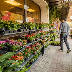 Moller's Garden Center - Garden plants and flowers.