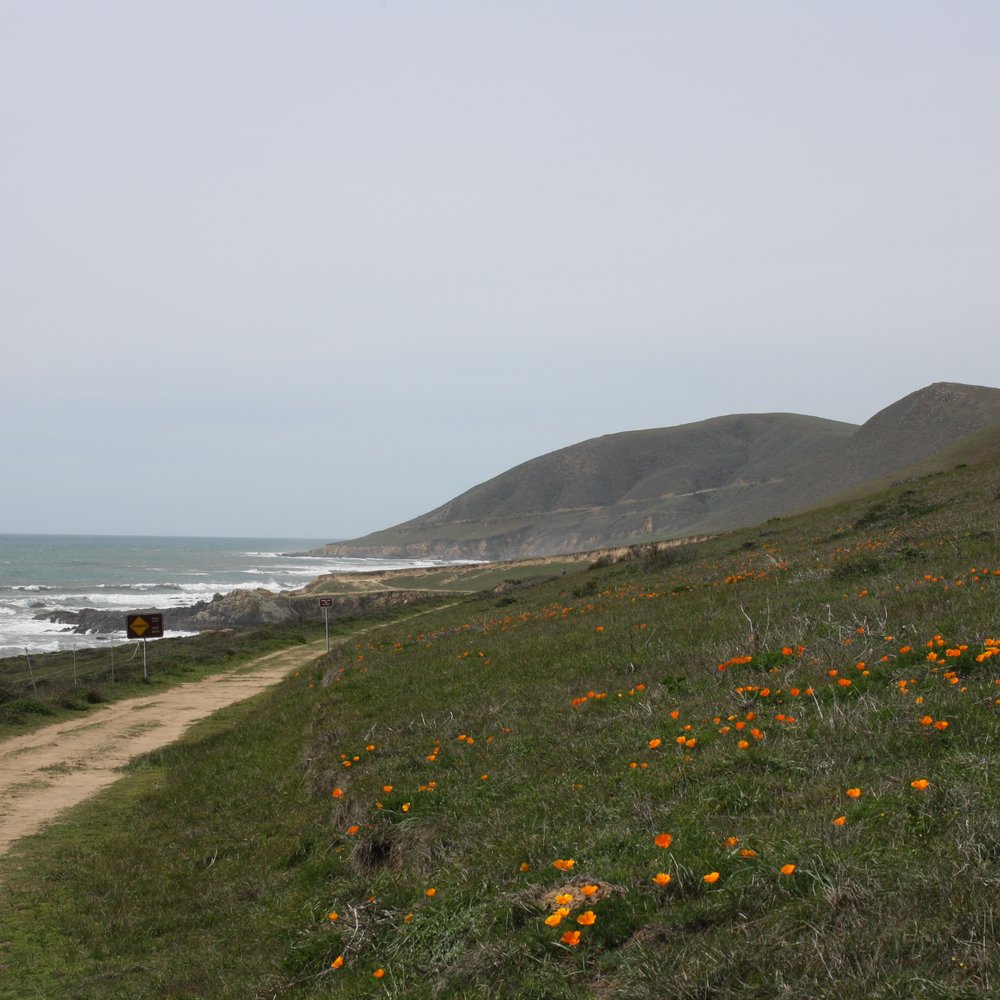 Harmony Headlands State Park - Parks Near Me - Cayucos, California Harmony Headlands State Park - Parks Near Me - Cayucos, California