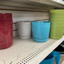 Dollar Tree - Plastic planters with drainage