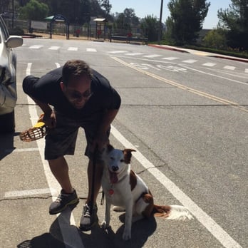 The Dog Savant - Stella and brett at the boneyard dog park! - Pet Training Near Me - Sherman Oaks, California The Dog Savant - Stella and brett at the boneyard dog park! - Pet Training Near Me - Sherman Oaks, California