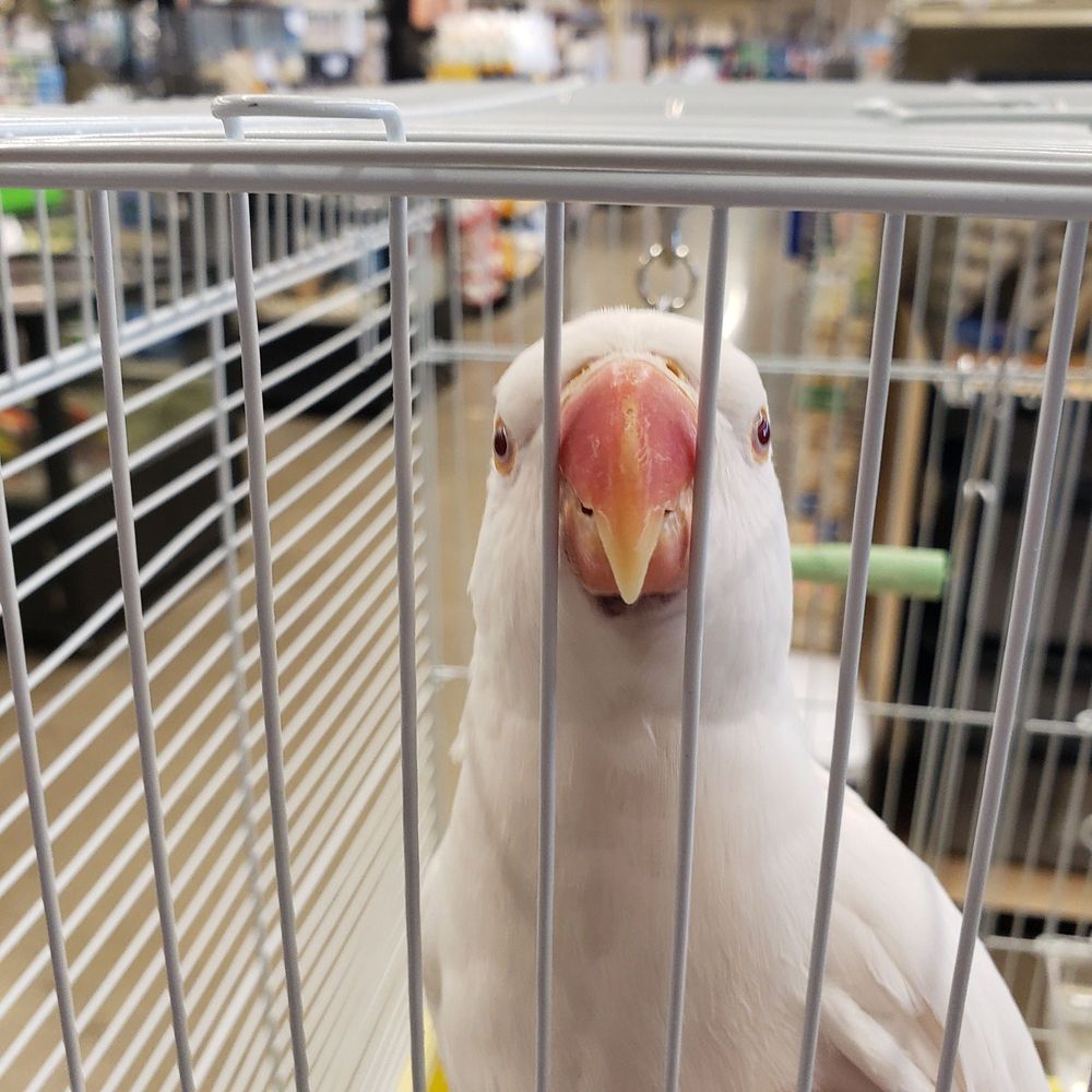 FEEDERS SUPPLY Updated June 2024 2363 Hwy 135, Corydon, Indiana