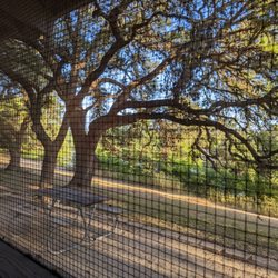 Blanco State Park - View from our shelter