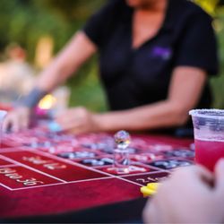 Casino Entertainment Industries