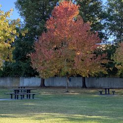 Bicentennial Park