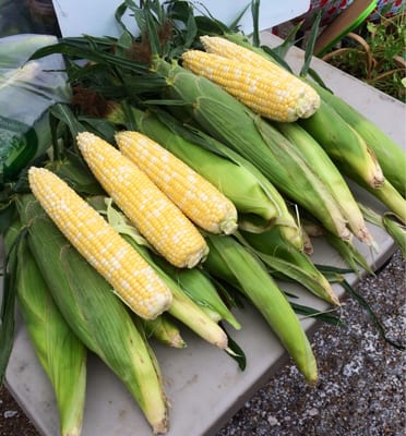 Columbia Farmers Market by null
