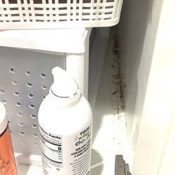 Dirt Warriors Cleaning