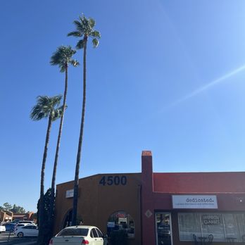 DEDICATED GLUTEN FREE BAKERY AND COFFEE SHOP Updated March 2025 208