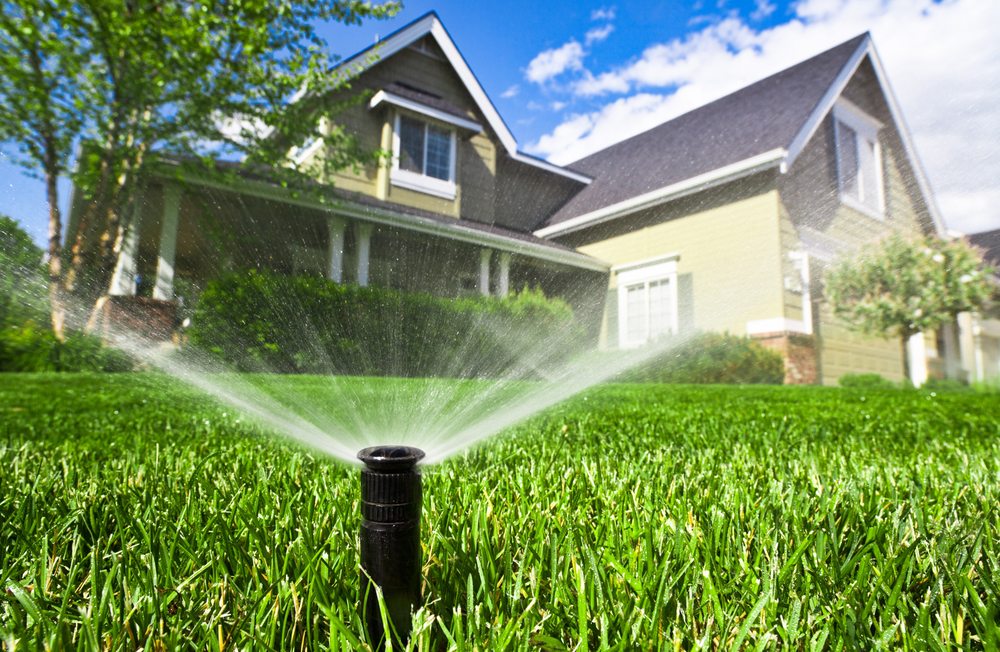 Slide of Panhandle Sprinkler