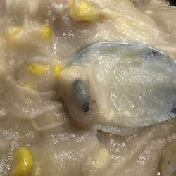 Tic? Or roach?