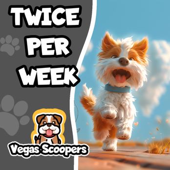 Vegas Scoopers - #PetWasteRemovalService - Sign up today! - Pet Waste Removal Near Me Vegas Scoopers - #PetWasteRemovalService - Sign up today! - Pet Waste Removal Near Me