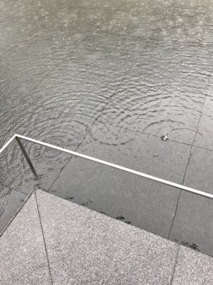 D.T. Suzuki Museum by null