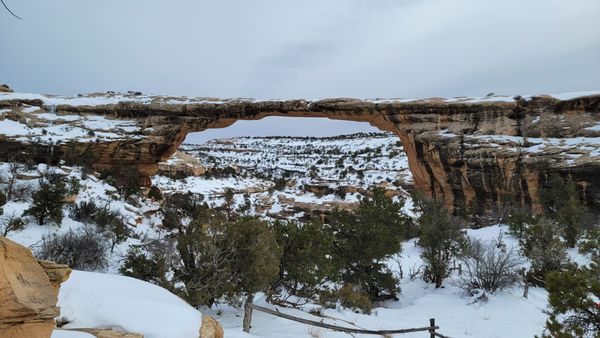 Natural Bridges National Monument by null