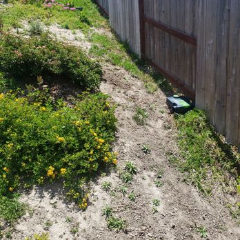 Major League Pest - Pest Control Near Me - Oceanside, California