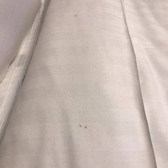 The Boxer Hoston - Dark stains on comforter. - Hotels Near Me - Boston, Massachusetts The Boxer Hoston - Dark stains on comforter. - Hotels Near Me - Boston, Massachusetts