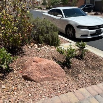 MLR Landscaping & Maintance - AFTER New shrubs look great. - Landscaping Near Me MLR Landscaping & Maintance - AFTER New shrubs look great. - Landscaping Near Me