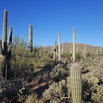 Shangri-La Ranch - Nudist Near Me - New River, Arizona