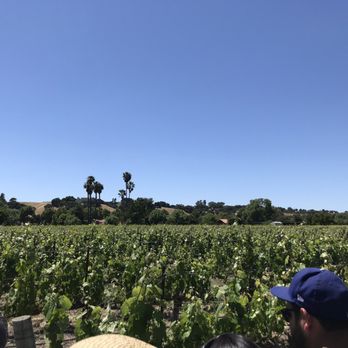 Rideau Vineyard - Wine Tasting Room Near Me - Solvang, California Rideau Vineyard - Wine Tasting Room Near Me - Solvang, California