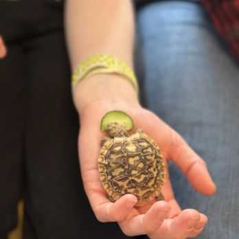 Seattle Reptile Guy - Party & Event Planning Near Me