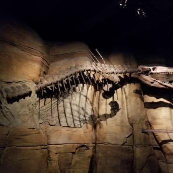 Downtown Aquarium - Museums Near Me - Denver, Colorado
