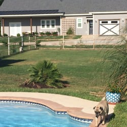 Dudley Jack Rock & Stone - Another palm tree! Love it!