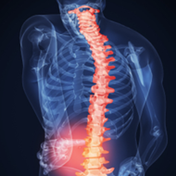 Archer Chiropractic Clinic - Acupuncture Near Me - Chicago, Illinois