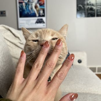 Nails By Nui - Nail Technicians Near Me - Canton, Michigan
